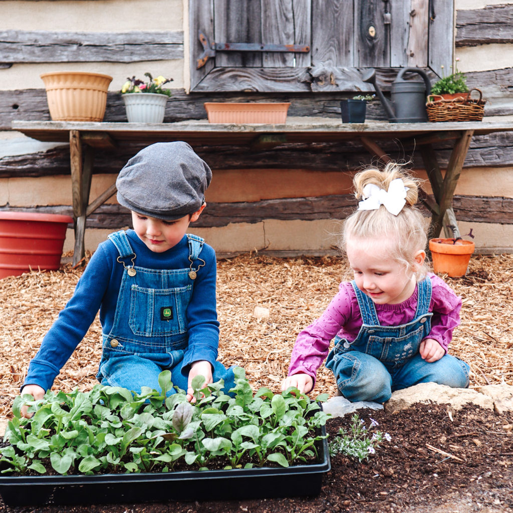 Gardening with children has so many benefits! So I've turned to a Master Gardener for tips and encouragement! #gardening #gardeningwithkids #naturestudy #gooutside #Charlottemason #homeschoolfamily #springkidsactivities #startagarden